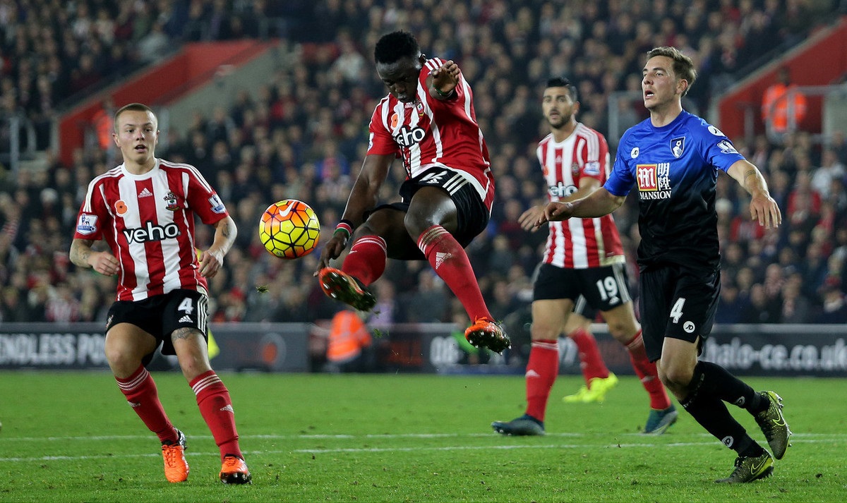 阿密队的情 阿密队的情